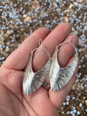 Silver Shields