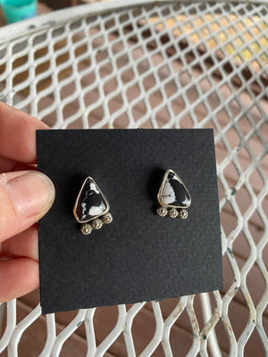 White Buffalo Studs