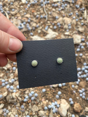 Simple Turquoise Studs