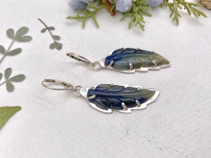 Sapphire Feather Earrings