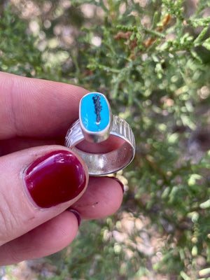 Mojave Solitaire Ring - Turquoise and Silver Size 6 - The Jewelry Shop