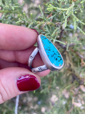 Sage Star Ring - Pilot Mountain Turquoise Size 8 - The Jewelry Shop