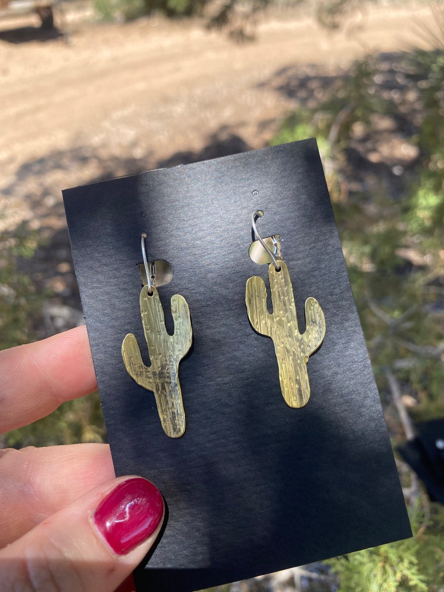 Orecchini Pendenti A Cerchio Argento 925 Con Cactus – Gioielli Artigianali Thailandesi Ispirati Alla Natura