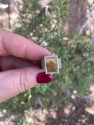 Sandstone Ring - The Jewelry Shop