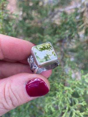 Winding Wilds Ring - Variscite, Size 5.5 - The Jewelry Shop